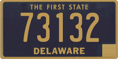 DE license plate 73132