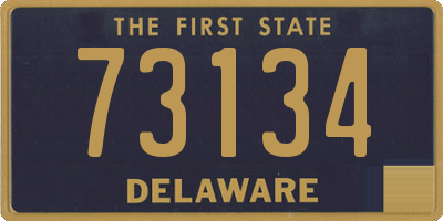 DE license plate 73134