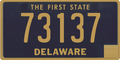 DE license plate 73137