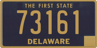 DE license plate 73161