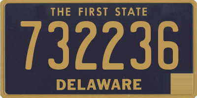 DE license plate 732236