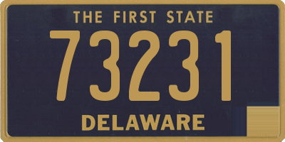 DE license plate 73231