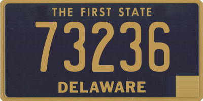 DE license plate 73236