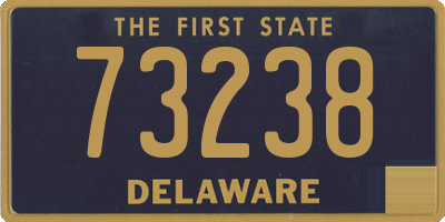 DE license plate 73238