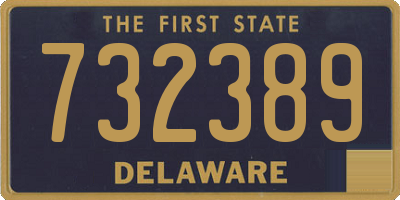 DE license plate 732389