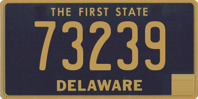DE license plate 73239