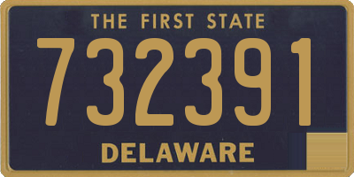 DE license plate 732391