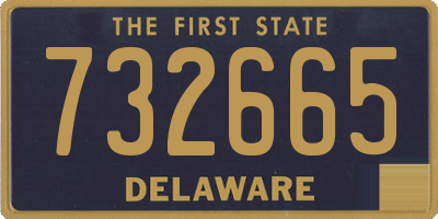 DE license plate 732665