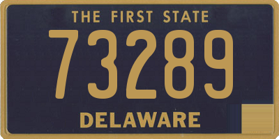 DE license plate 73289