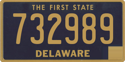 DE license plate 732989