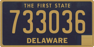 DE license plate 733036