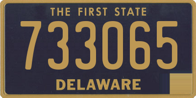 DE license plate 733065