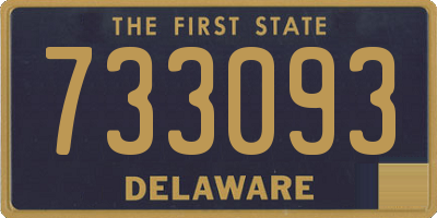 DE license plate 733093