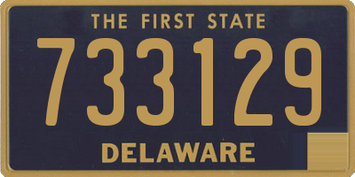 DE license plate 733129