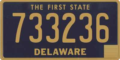 DE license plate 733236