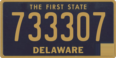 DE license plate 733307