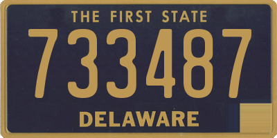 DE license plate 733487