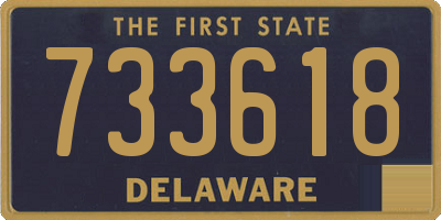 DE license plate 733618