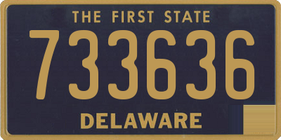 DE license plate 733636