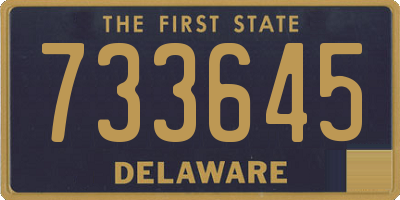 DE license plate 733645