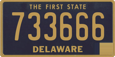 DE license plate 733666