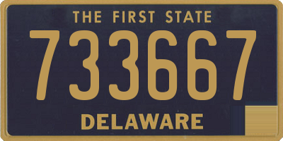 DE license plate 733667
