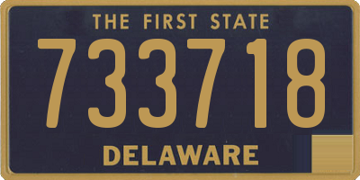 DE license plate 733718