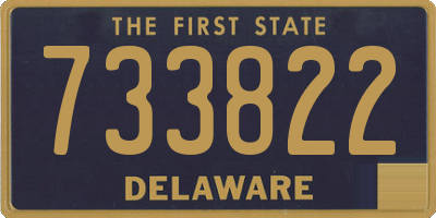DE license plate 733822