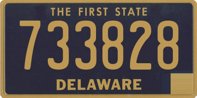 DE license plate 733828