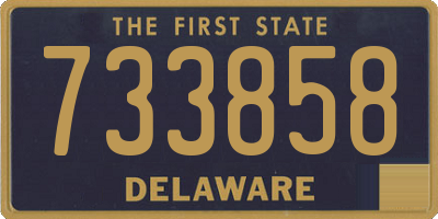 DE license plate 733858