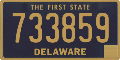 DE license plate 733859