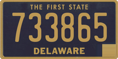 DE license plate 733865