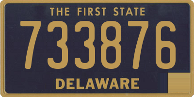 DE license plate 733876