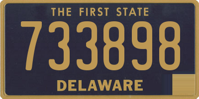DE license plate 733898