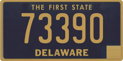 DE license plate 73390