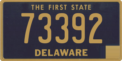 DE license plate 73392