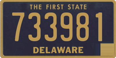 DE license plate 733981