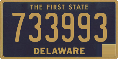 DE license plate 733993