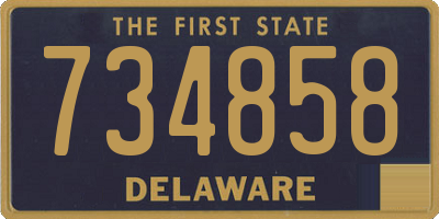 DE license plate 734858