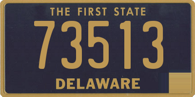 DE license plate 73513
