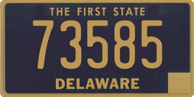 DE license plate 73585