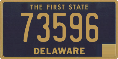 DE license plate 73596