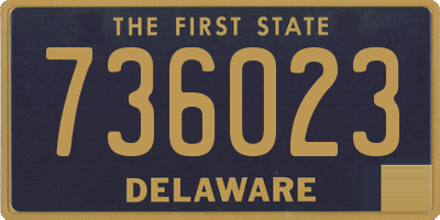 DE license plate 736023