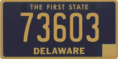 DE license plate 73603