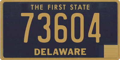 DE license plate 73604