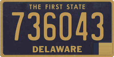 DE license plate 736043