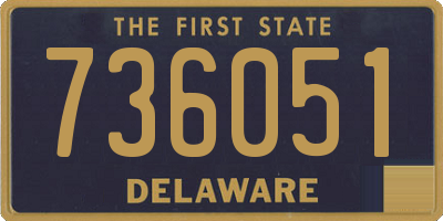 DE license plate 736051