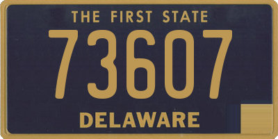 DE license plate 73607