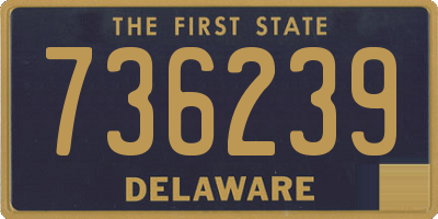 DE license plate 736239