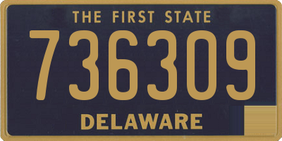 DE license plate 736309